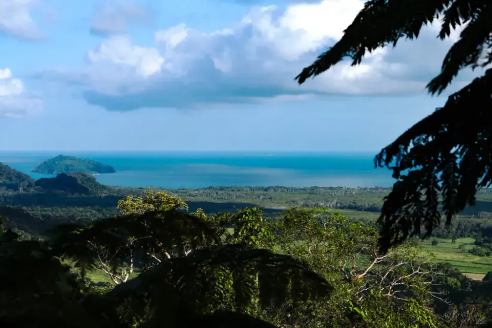 Cape Tribulation, Queensland, Australia